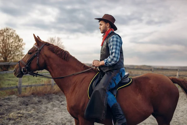 Vaquero Jeans Chaqueta Cuero Montando Caballo Granja Texas Oeste Hombre —  Fotos de Stock