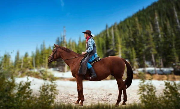 Cowboy Jeans Och Skinnjacka Som Rider Häst Berg Och Skog — Stockfoto