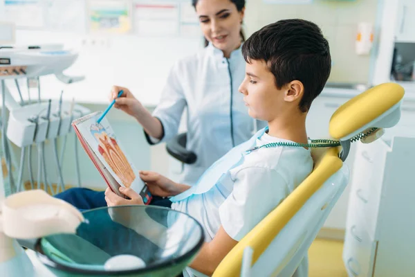 Vrouwelijk Tandarts Structuur Wordt Weergegeven Van Tand Aan Kleine Jongen — Stockfoto