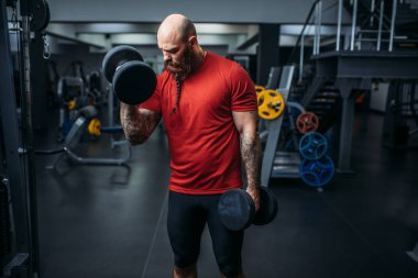 Kas atlet spor salonunda dumbbells ile egzersiz yaparak. Sakallı adam Spor Kulübü, sağlıklı yaşam tarzı