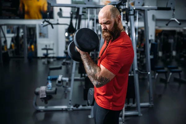 Muscular athlete doing exercise with dumbbell in gym. Bearded man in sport club