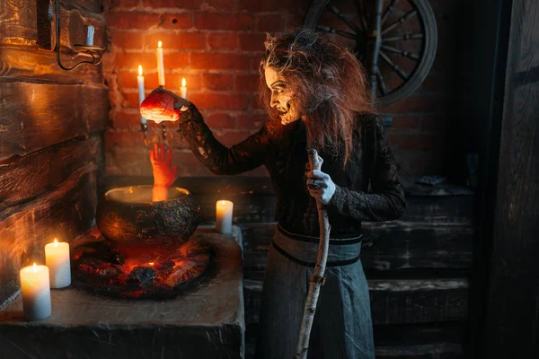 Scary Witch Reads Spell Pot Human Body Parts Dark Powers — Stock Photo, Image