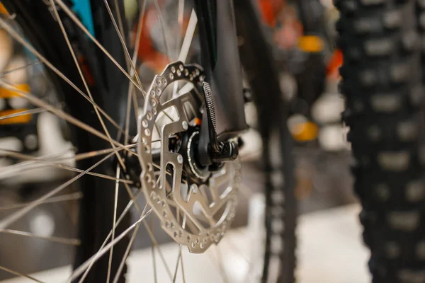 Mountain Bike Sportboltban Összpontosítani Tárcsafék Senki Nyári Aktív Pihenés Kirakat — Stock Fotó