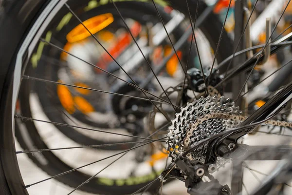 スポーツショップのマウンテン自転車 ギアシフトシステム付き後輪に焦点を当て 夏のアクティブレジャー 自転車付きショーケース サイクルセール プロのサイクリング用品 — ストック写真