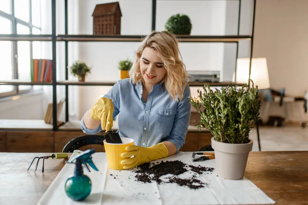 Young Woman Gloves Sitting Table Changes Soil Home Plants Florist — Stock Photo, Image