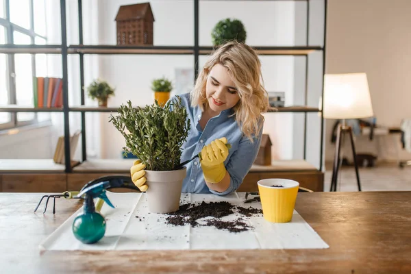 Young Woman Gloves Sitting Table Changes Soil Home Plants Florist — Stock Photo, Image