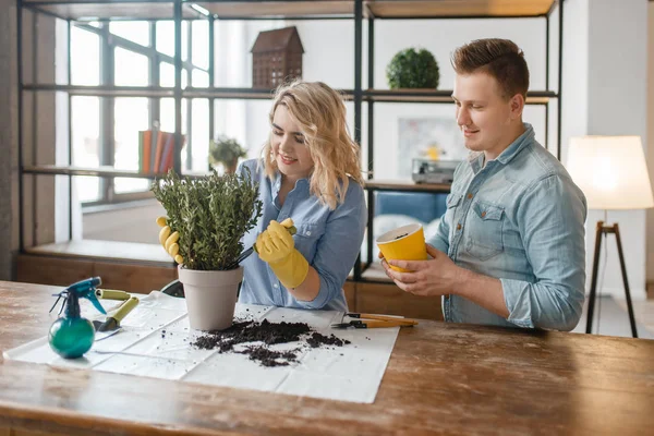 Pareja Joven Cambia Suelo Las Plantas Caseras Pasatiempo Florista Hombre —  Fotos de Stock