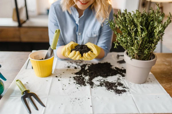 Young Woman Gloves Holds Pile Peat Home Plants Florist Hobby — Stock Photo, Image