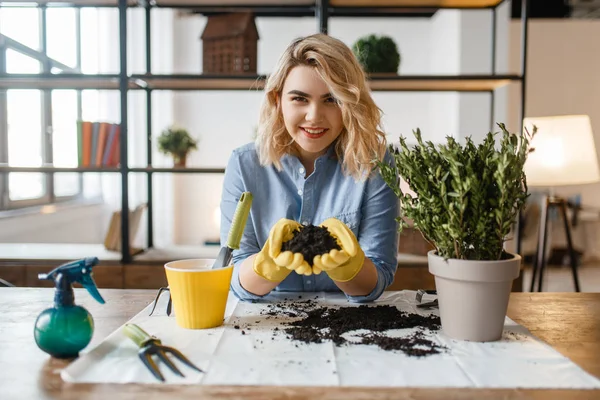 Young Woman Gloves Holds Pile Peat Home Plants Florist Hobby — Stock Photo, Image