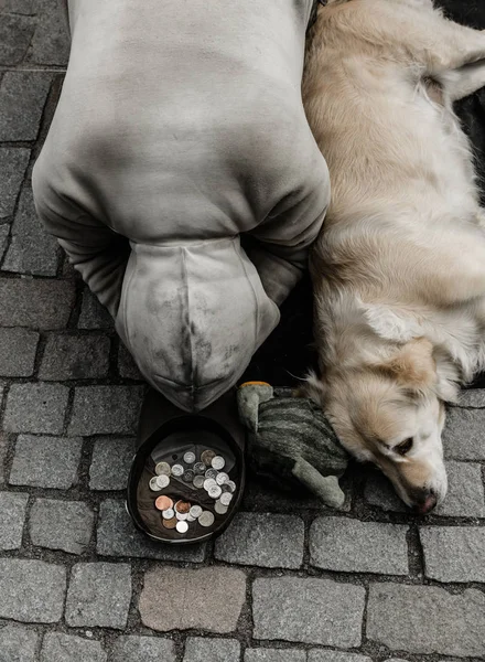 Bedelaar Met Hond Smeken Voor Aalmoes Europese Stad Zomer Toerisme — Stockfoto