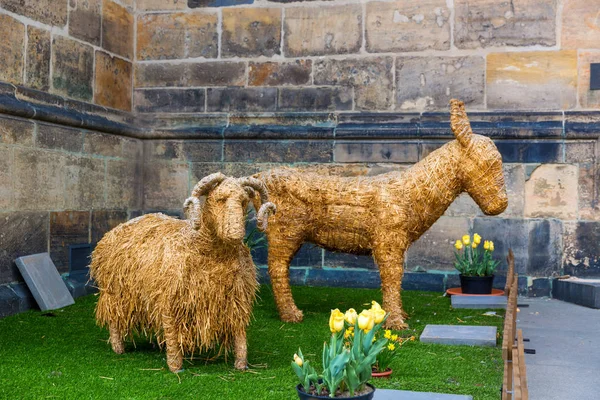 Animali Imbalsamati Dal Fieno Sul Prato Vecchia Città Europea Turismo — Foto Stock