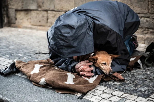 Mendigo Com Cão Implorando Por Esmolas Cidade Europeia Turismo Verão — Fotografia de Stock