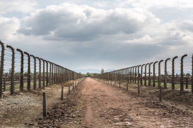 İki sıra halinde dikenli tel çit, Alman toplama kampı Auschwitz Ii, Polonya. Yahudi halkının Nazi soykırımı kurbanları Müzesi