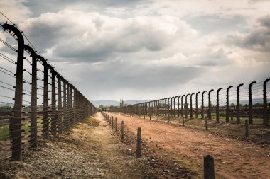 İki sıra halinde dikenli tel çit, Alman toplama kampı Auschwitz Ii, Polonya. Yahudi halkının Nazi soykırımı kurbanları Müzesi