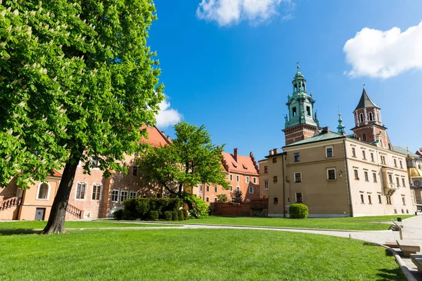 Wawel kalesi, Krakow, Polonya yürüyüş turist grubu. Antik mimari binaları ile Avrupa kenti, seyahat için ünlü bir yer
