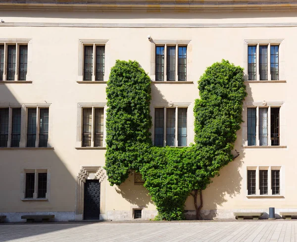 Fachada Construção Castelo Wawel Cracóvia Polónia Cidade Europeia Com Arquitetura — Fotografia de Stock