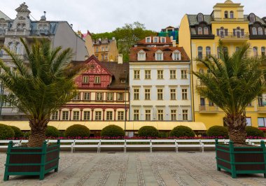 Dekoratif palmiye ağaçları ve bina cepheleri, Karlovy Vary, Çek Cumhuriyeti, Avrupa. Eski Avrupa kenti, seyahat ve turizm için ünlü bir yer