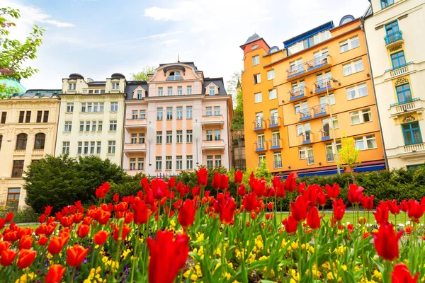 Césped Con Flores Flor Antigua Fachada Del Edificio Antigua Ciudad — Foto de Stock