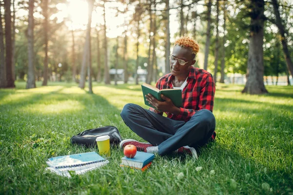 Estudiante Africano Gafas Leyendo Libro Sobre Hierba Parque Verano —  Fotos de Stock