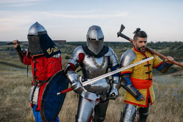 Kılıçlı Baltalı Ortaçağ Şövalyeleri Zırhlı Poz Veriyorlar Büyük Savaşçı Zırhlı — Stok fotoğraf