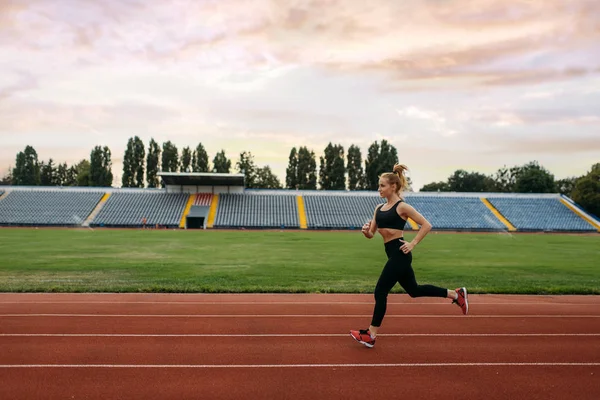 Běžkyně Sportovním Běhání Trénink Stadionu Žena Dělá Strečink Cvičení Před — Stock fotografie