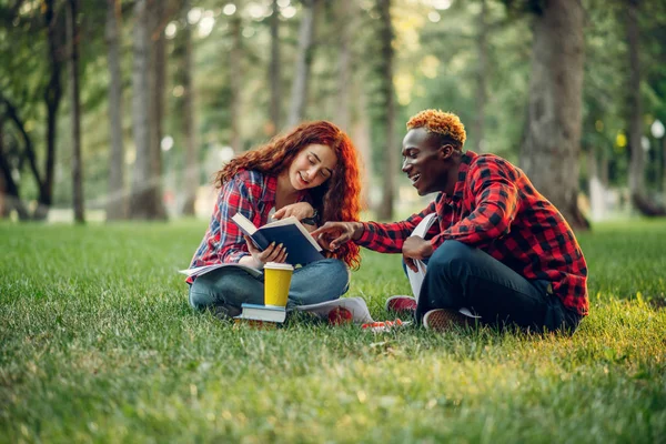 夏の公園で草の上の本を読んでいる学生 男性と女性のティーンエイジャーは屋外で勉強し 昼食を取る — ストック写真