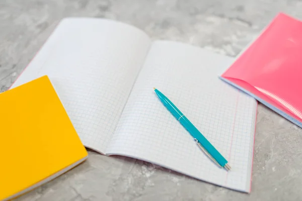 Bürobedarf Notizbuch Käfig Und Bleistift Auf Dem Tisch Schreibwarengeschäft Niemand — Stockfoto