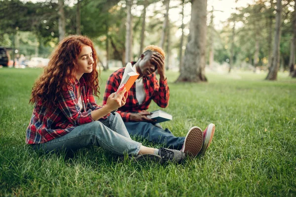 Studenti Che Studiano Sull Erba Nel Parco Estivo — Foto Stock