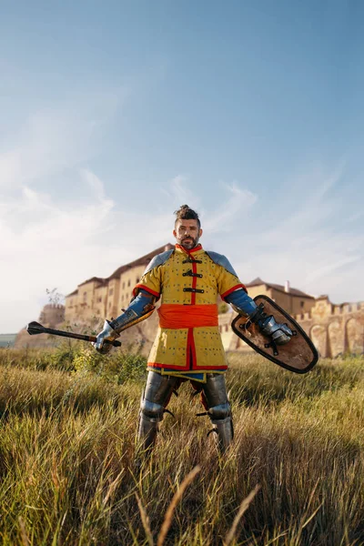 Mittelalterliche Ritter Posiert Rüstungen Gegenüber Der Burg Großes Turnier Gepanzerte — Stockfoto