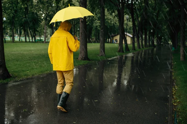 Mujer en impermeable bebe té caliente en el parque de verano, día lluvioso.  solo persona femenina en la capa de lluvia en el sendero, clima húmedo en  el callejón