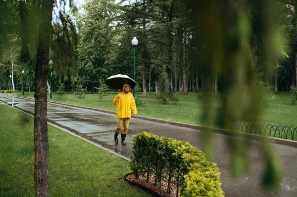 雨の日に夏の公園を歩く傘を持つ一人の男 雨のケープとゴムブーツの男性の人 路地でぬれた天気 — ストック写真