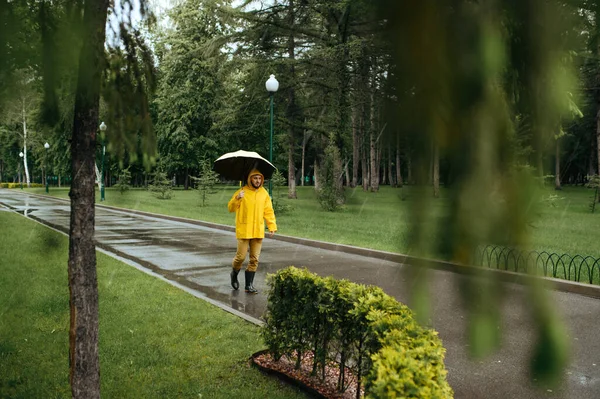 Seul Homme Avec Parasol Marchant Dans Parc Été Par Temps — Photo