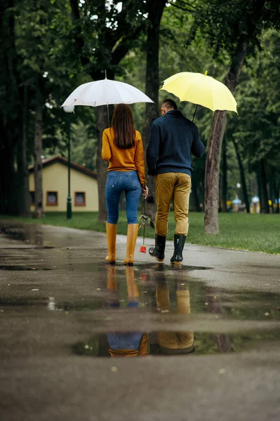 夏の公園 バックビュー 雨の日に傘を歩くと愛のカップル 男と女のレジャー雨の中を歩く道 路地で雨の多い天気 — ストック写真