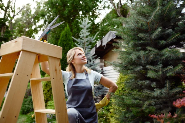 Mujer Atractiva Con Podadoras Sube Las Escaleras Jardín Mujer Jardinero — Foto de Stock