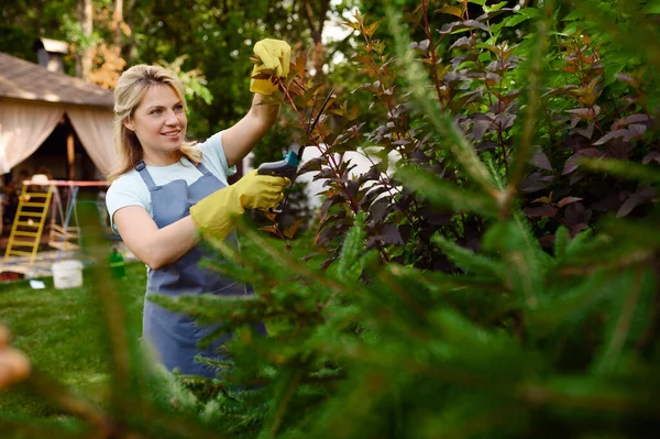 Çekici Budanmış Erikli Kadın Bahçedeki Merdivenleri Çıkıyor Kadın Bahçıvan Bitkilerle — Stok fotoğraf