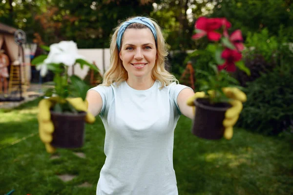 Woman Shows Two Flowers Pots Garden Female Gardener Takes Care — Stock Photo, Image