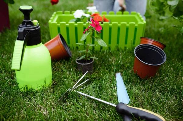 Tuinieren Tools Voor Planten Zorg Close Uitzicht Niemand Tuinier Bloemist — Stockfoto