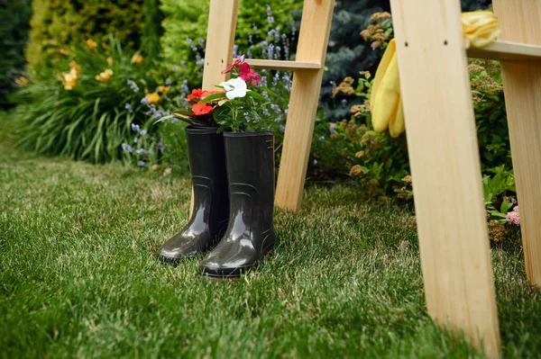 Gardening Tools Flowers Rubber Boots Wooden Stairs Nobody Gardener Florist — Stock Photo, Image