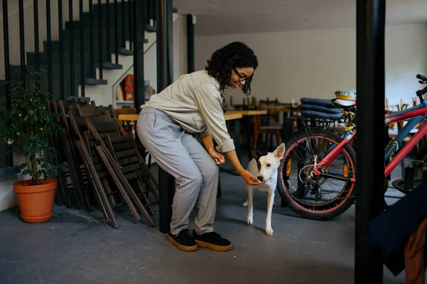Pretty Female Student Glasses Feed Dog Cafe Woman Learning Subject — Stock Photo, Image