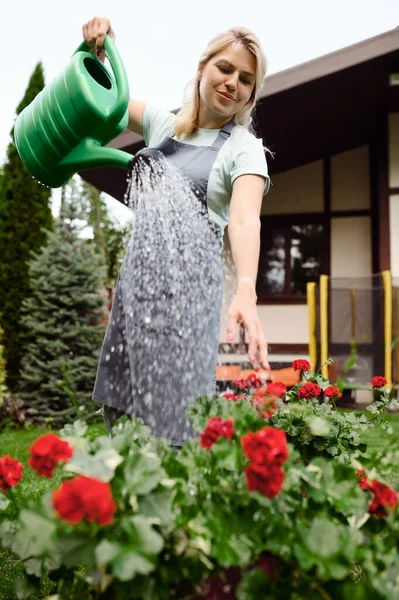 Woman Apron Watering Flowers Garden Female Gardener Takes Care Plants — Stock Photo, Image