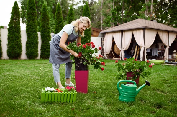 Smiling Woman Apron Works Flowers Garden Female Gardener Takes Care — Stock Photo, Image