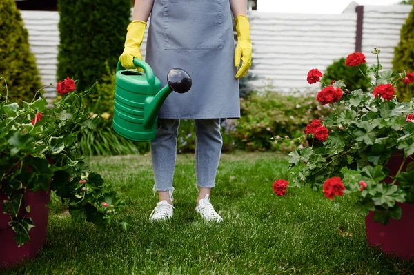 エプロンと手袋の女性は庭で散水缶を保持しています 女性の庭師は植物の屋外 園芸趣味 花屋のライフスタイルを世話します — ストック写真