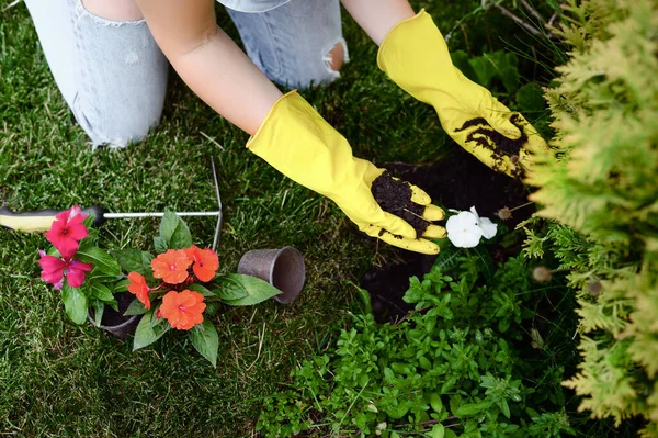 Femme Gants Plantant Des Fleurs Dans Jardin Femme Jardinier Prend — Photo