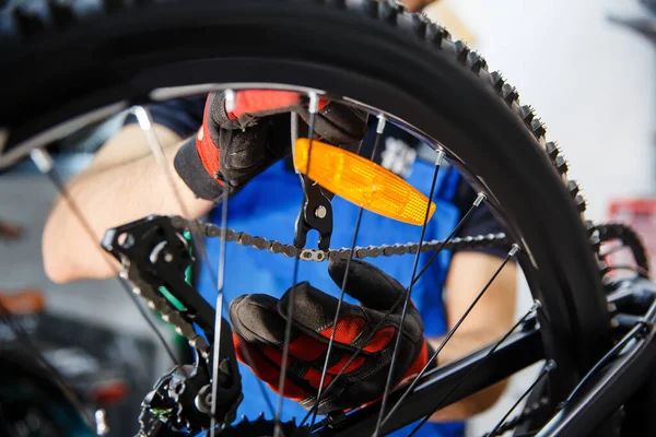 Taller Reparación Bicicletas Hombre Comprueba Holgura Cadena Mecánico Problemas Solución — Foto de Stock