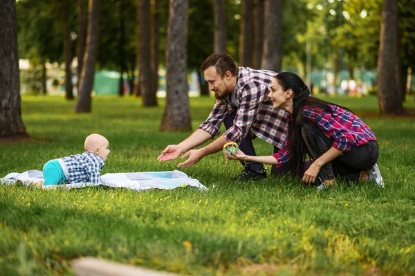 Föräldrar Och Små Barn Leker Gräs Sommarparken Mamma Och Pappa — Stockfoto