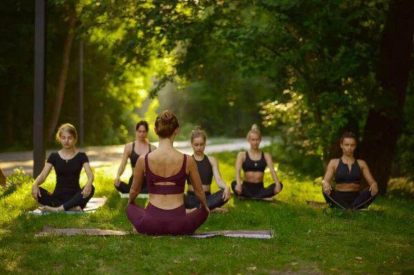 Frauen Sitzen Yoga Pose Auf Dem Rasen Gruppentraining Meditationsübungen Workout — Stockfoto