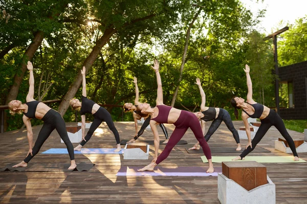 Kvinnor Med Perfekt Kropp Som Stretchar Gruppyogaträning Gräset Parken Meditation — Stockfoto