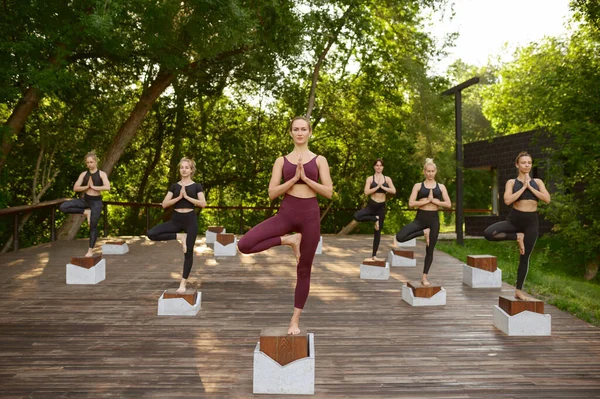 Frauen Machen Gleichgewichtsgymnastik Beim Gruppen Yoga Training Sommerpark Meditation Fitnesstraining — Stockfoto