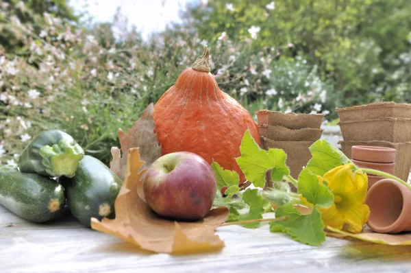 Zucca Altre Verdure Tavolo Giardinaggio All Aperto — Foto Stock