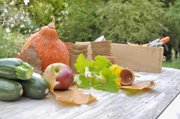 Calabaza Otras Verduras Una Mesa Jardinería Aire Libre —  Fotos de Stock